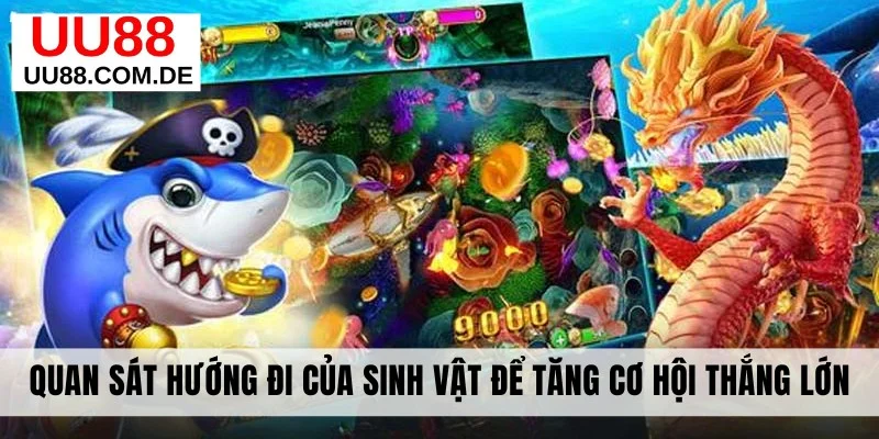 Quan sát hướng đi của sinh vật để tăng cơ hội thắng lớn